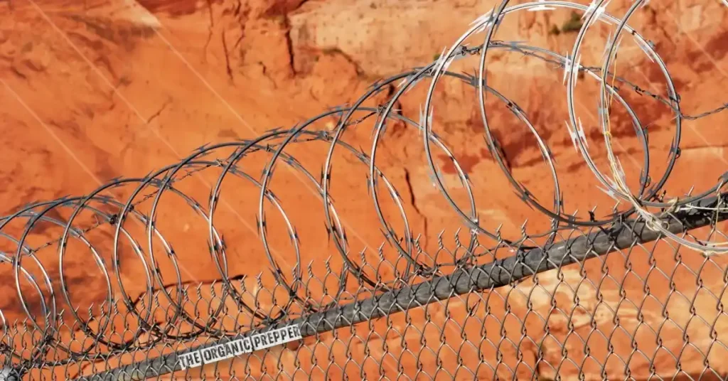 Razor Wire Fencing Ajman ]" but make sure it must be human-friendly and plagiarism free. Razor Wire Fencing Ajman